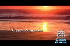TV Content Image